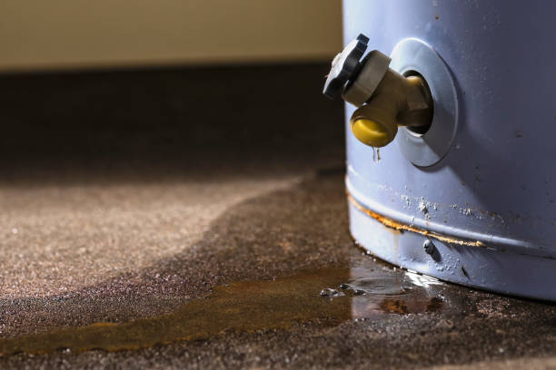 Best Professional water damage repair  in Hunters Creek, FL