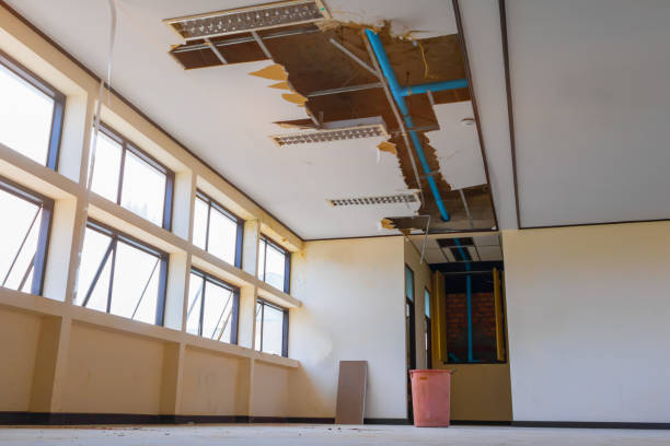 Best Water damage cleanup near me  in Hunters Creek, FL