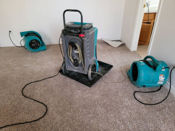 Best Flood damage cleanup  in Hunters Creek, FL