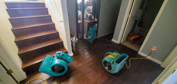 Best Emergency water damage restoration  in Hunters Creek, FL