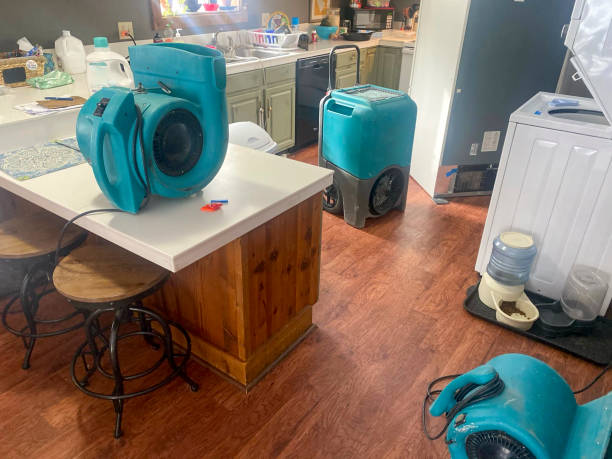 Best Carpet water damage restoration  in Hunters Creek, FL