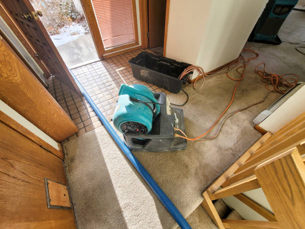 Best Flooded house restoration  in Hunters Creek, FL
