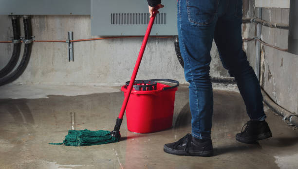 Best Basement water damage restoration  in Hunters Creek, FL