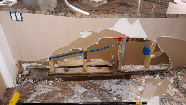 Best Local water damage restoration  in Hunters Creek, FL