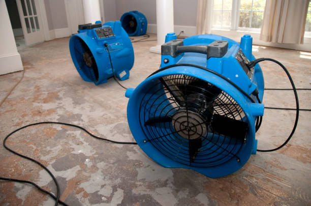 Best Emergency water extraction  in Hunters Creek, FL