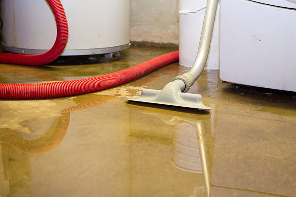 Best Flood damage cleanup  in Hunters Creek, FL