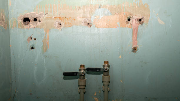Best Professional water damage repair  in Hunters Creek, FL