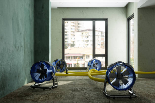 Best Ceiling water damage repair  in Hunters Creek, FL